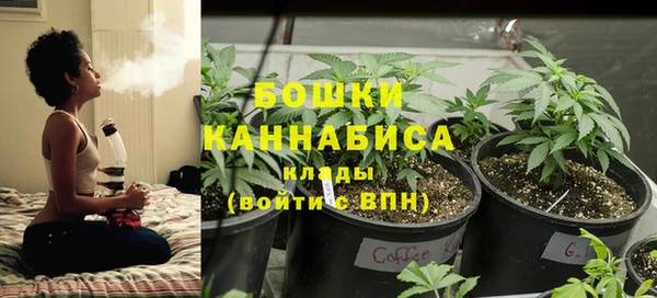 spice Вязники