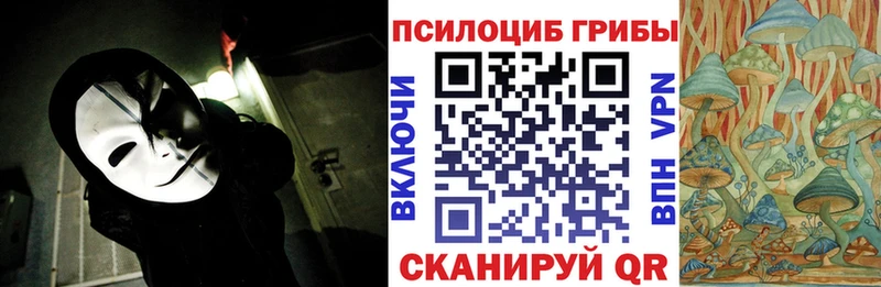 маркетплейс Telegram  Нижнекамск  Галлюциногенные грибы Psilocybine cubensis 